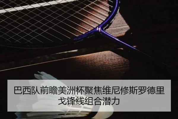 巴西队前瞻美洲杯聚焦维尼修斯罗德里戈锋线组合潜力