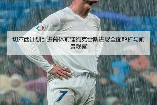 切尔西计划引进葡体前锋约克雷斯进展全面解析与前景观察