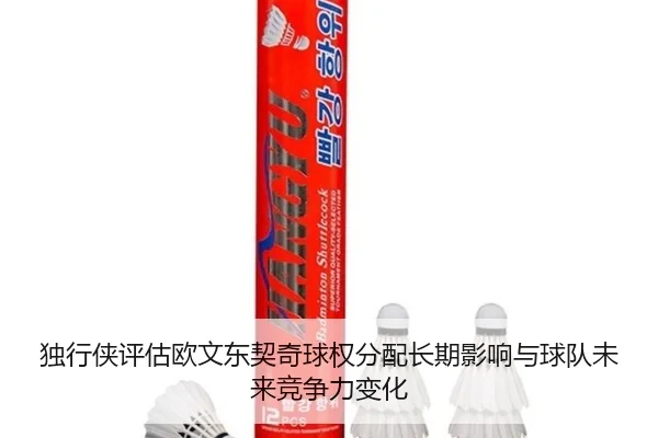 独行侠评估欧文东契奇球权分配长期影响与球队未来竞争力变化