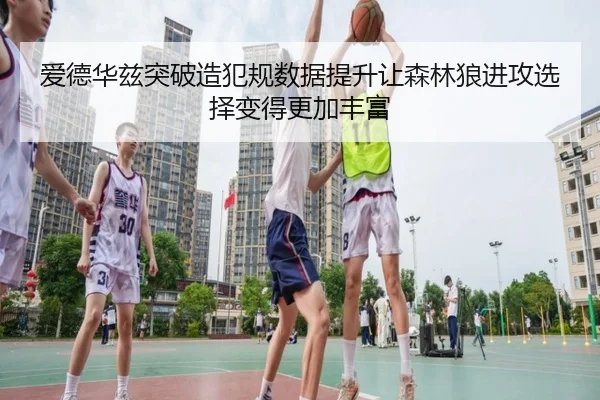 爱德华兹突破造犯规数据提升让森林狼进攻选择变得更加丰富