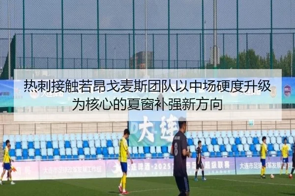 热刺接触若昂戈麦斯团队以中场硬度升级为核心的夏窗补强新方向
